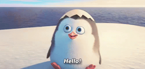 Penguin saying hello